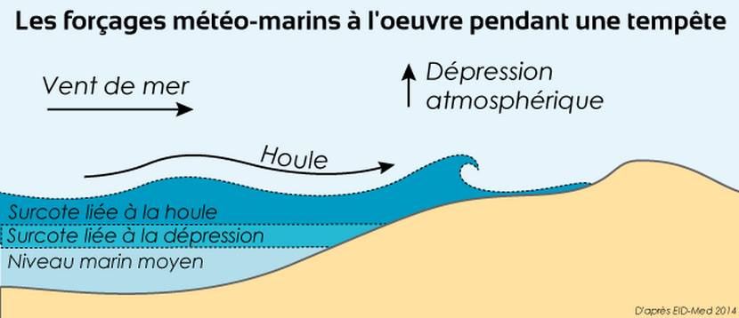 schéma_forçages