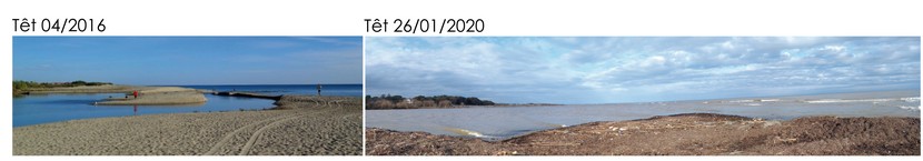 tet_2016-2020